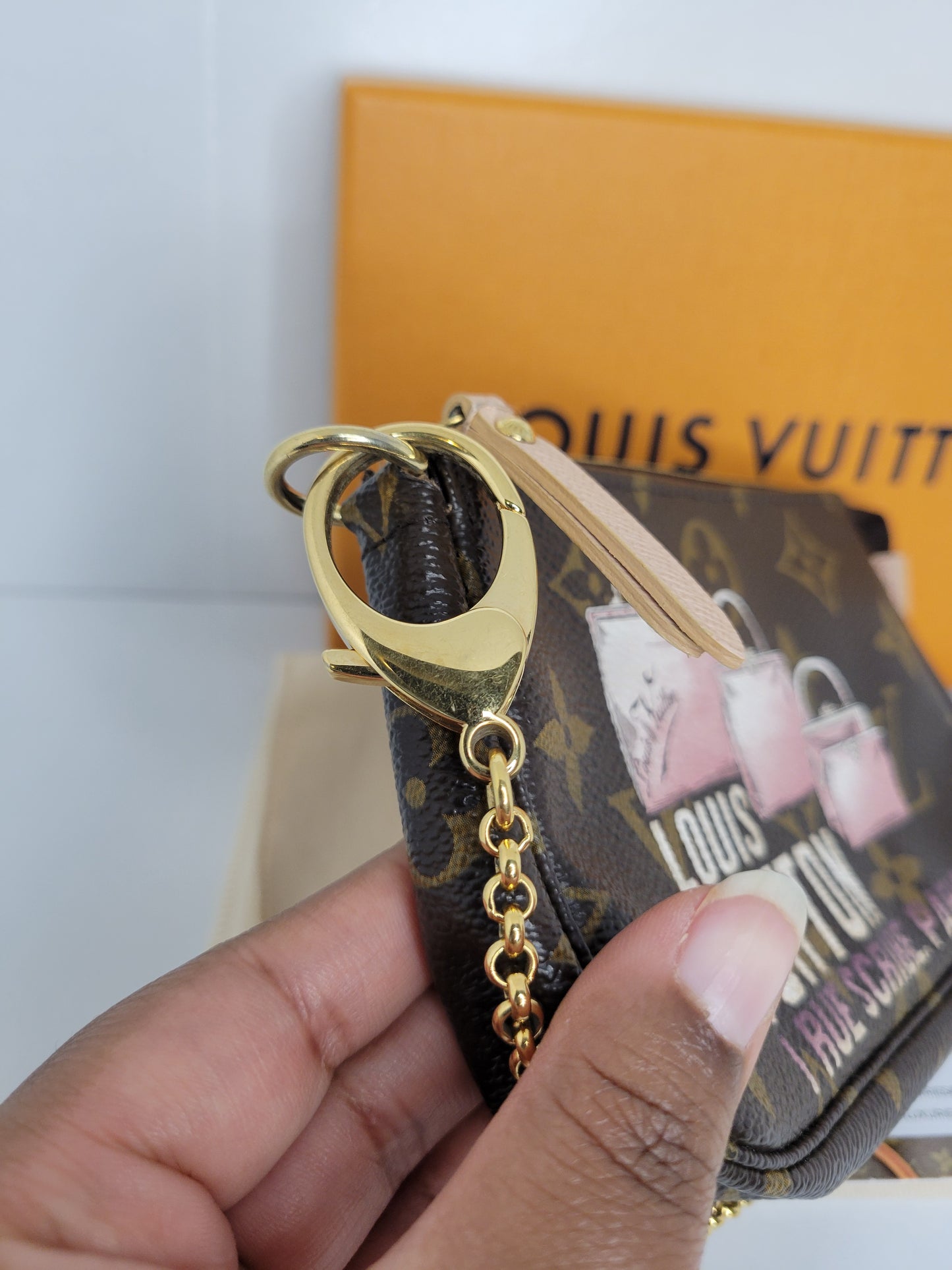 Louis Vuitton Limited Edition L Rue Scribe Mini Pochette