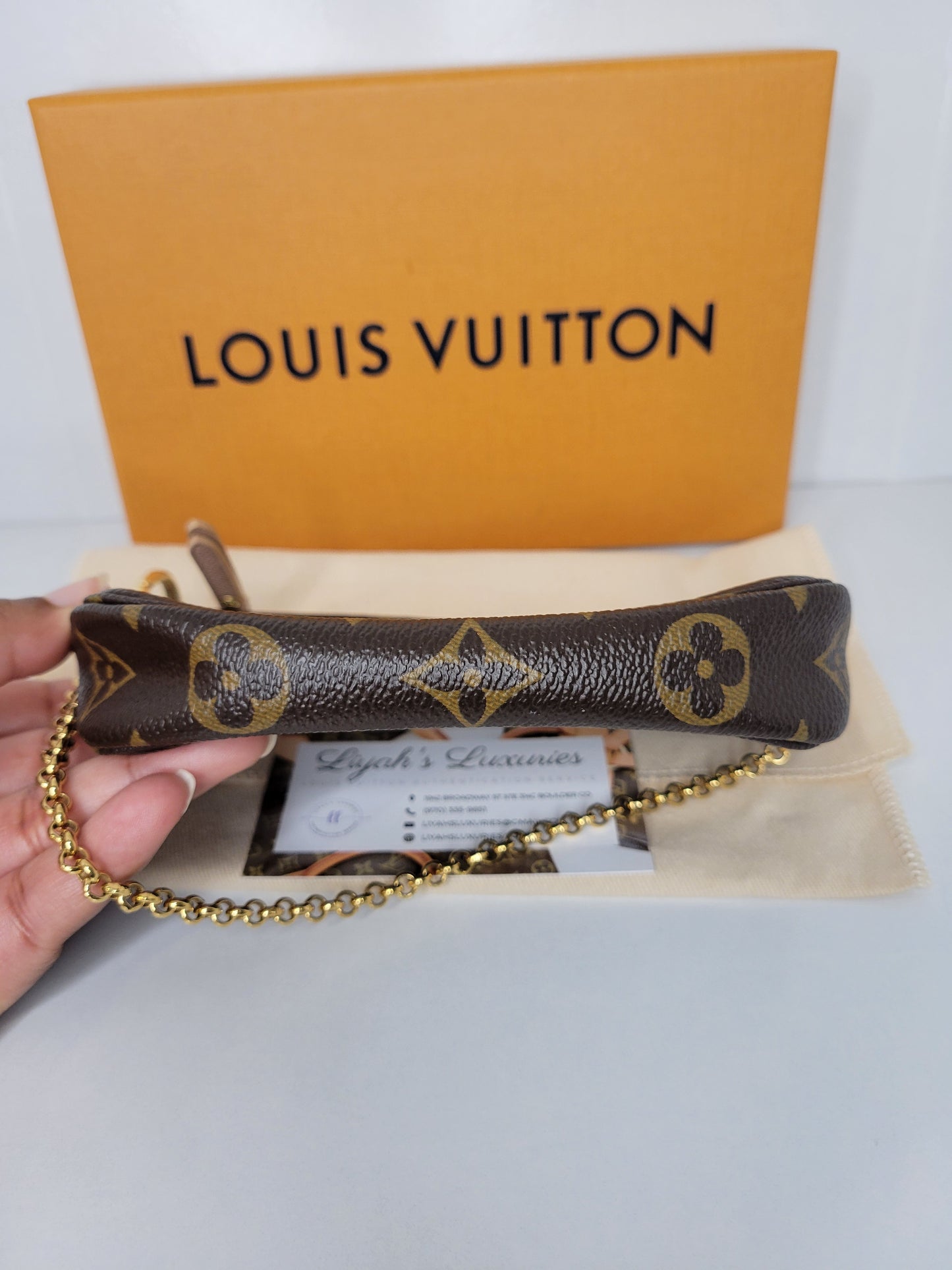 Louis Vuitton Limited Edition L Rue Scribe Mini Pochette