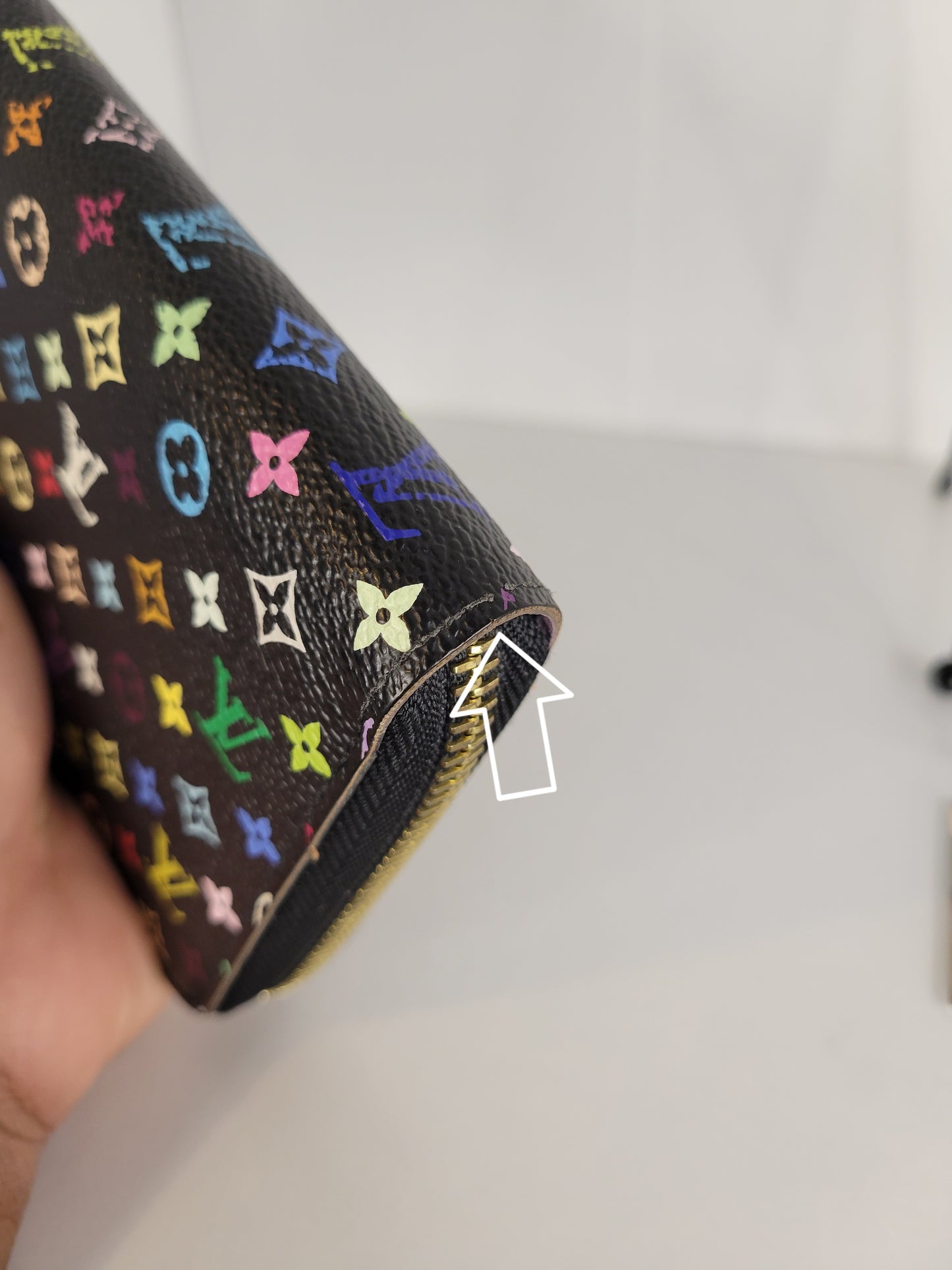 Louis Vuitton Multicolore Zippy Wallet