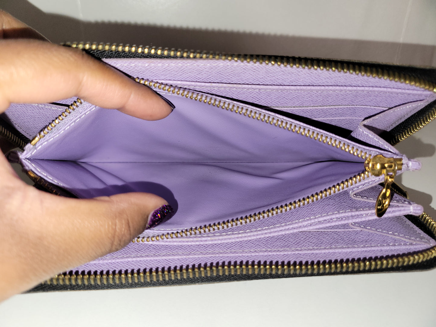 Louis Vuitton Multicolore Zippy Wallet